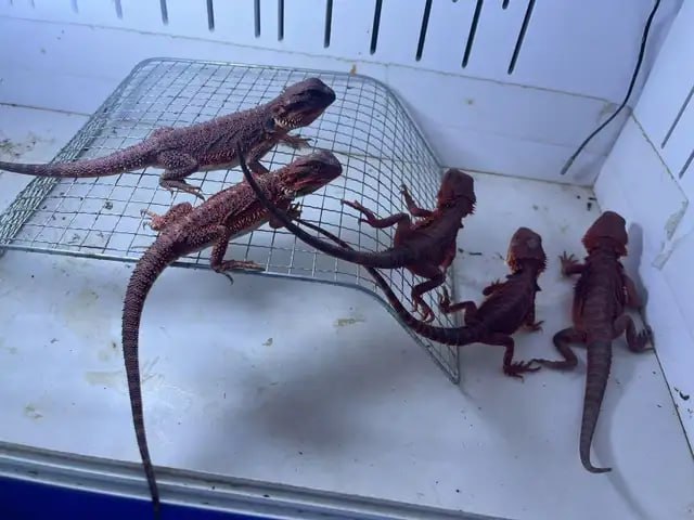 photo_2025-07-17_16-48-26