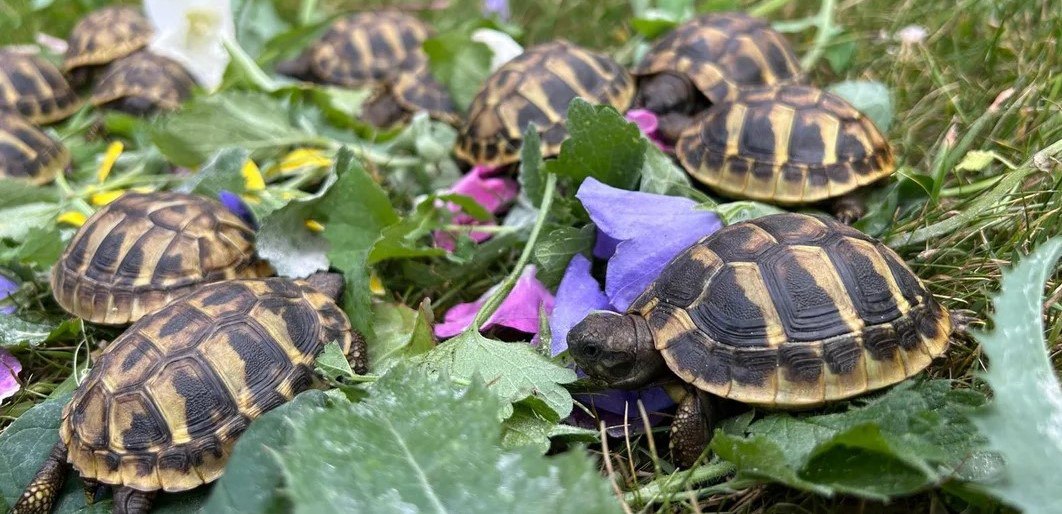 photo_2025-07-17_16-48-39